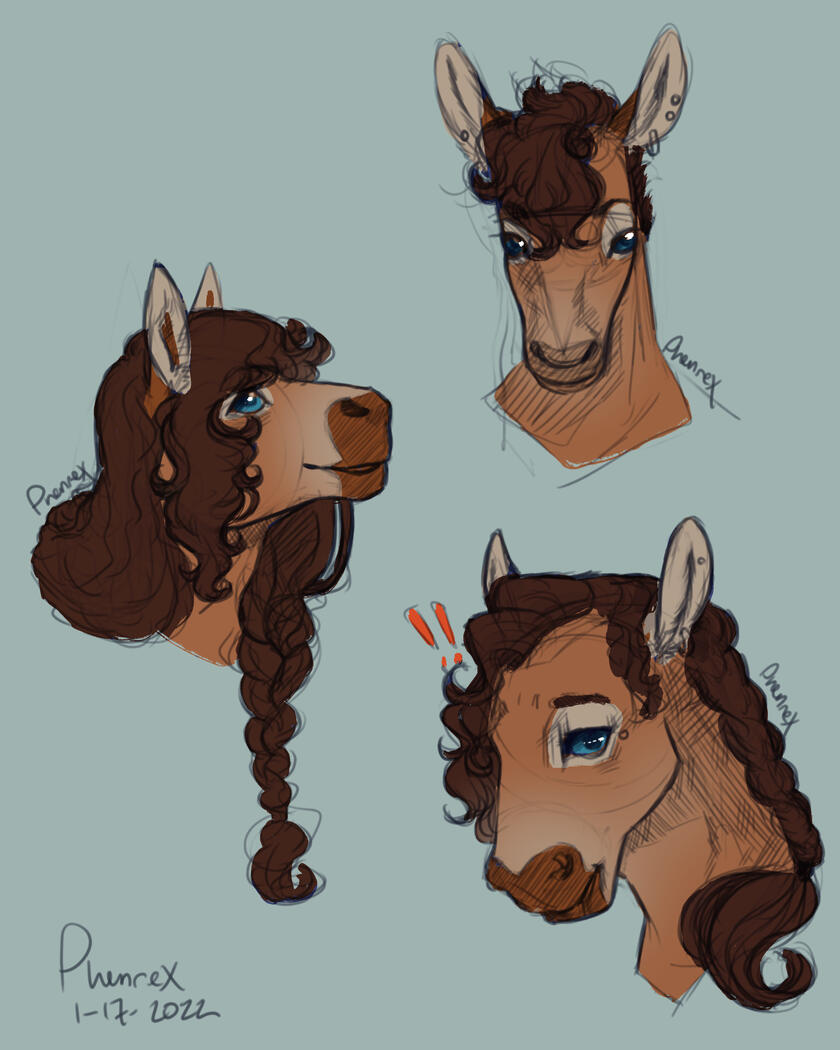 Commission Work (1 Hour - 1/17/2022)